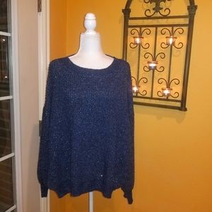 NWOT Lily Sky Sweater